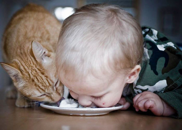 Pelo menos ele tá comendo direito, né?