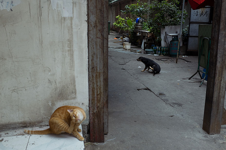 O fotógrafo chinês Tao Lin aprendeu a clicar sozinho, na volta e na ida do trabalho ou na hora de almoçar