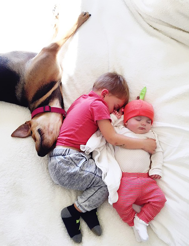 Cão Theo tira soneca com o garoto Beau e com a irmã dele, a bebê Evangeline