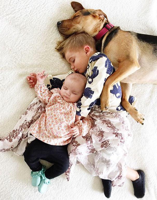 Cão Theo tira soneca com o garoto Beau e com a irmã dele, a bebê Evangeline