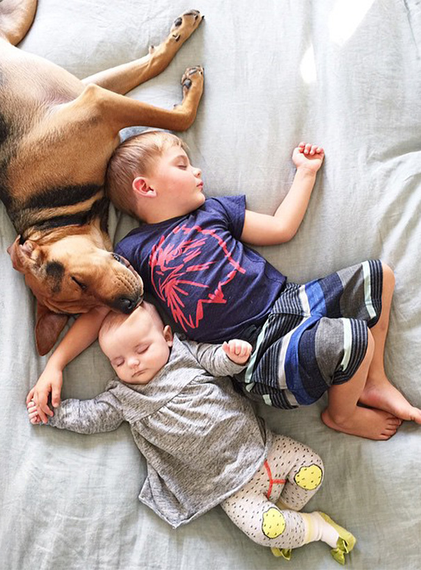 Cão Theo tira soneca com o garoto Beau e com a irmã dele, a bebê Evangeline