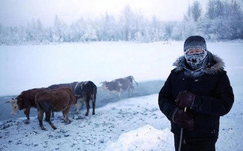 As 500 pessoas que vivem em Oymyakon estão acostumadas a temperaturas de  -50º C