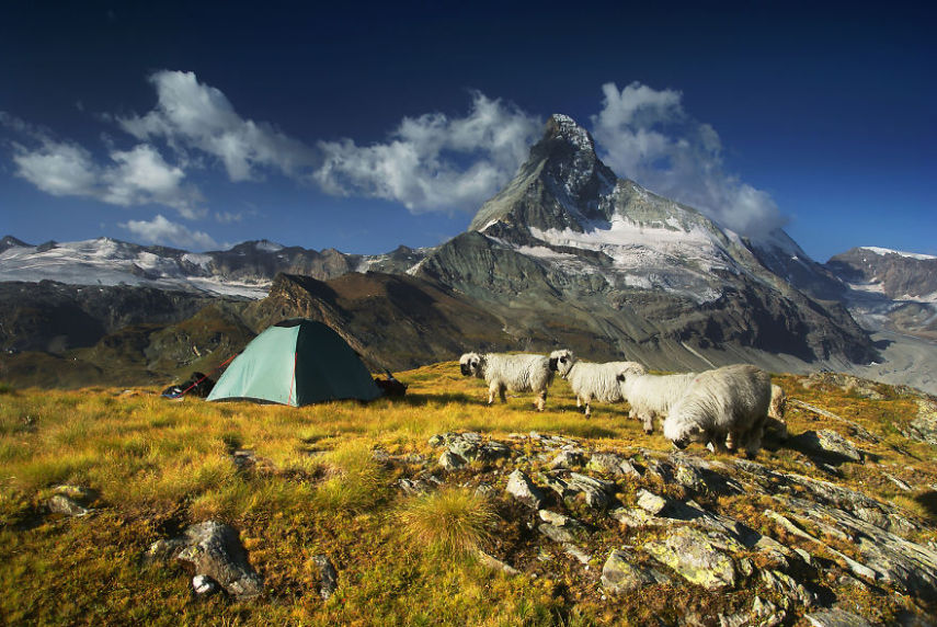 Under Matterhorn, 2,600m Valais Alps, Switzerland