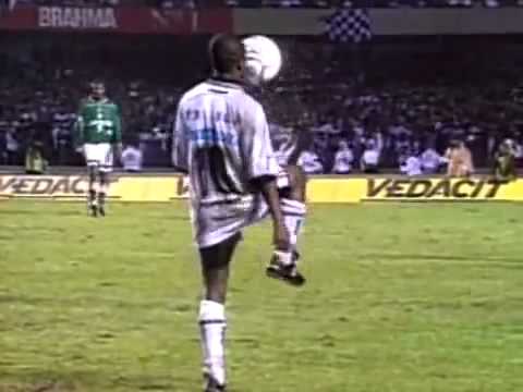 Atacante habilidoso, abusado, ousado e com um apelido que mostra bem o que ele era em campo: o típico atacante pentelho, que não dá descanso para a zaga.O lance mais marcante do atacante foram as embaixadinhas na final do Paulistão de 1999, quando o campeonato já estava praticamente assegurado para o Corinthians. Obviamente os palmeirenses não gostaram nada do lance e uma briga generalizada acabou com a partida.