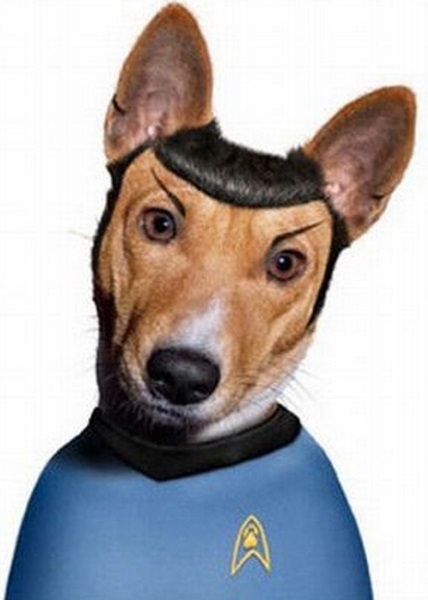 Cães já surgiram como Spock...