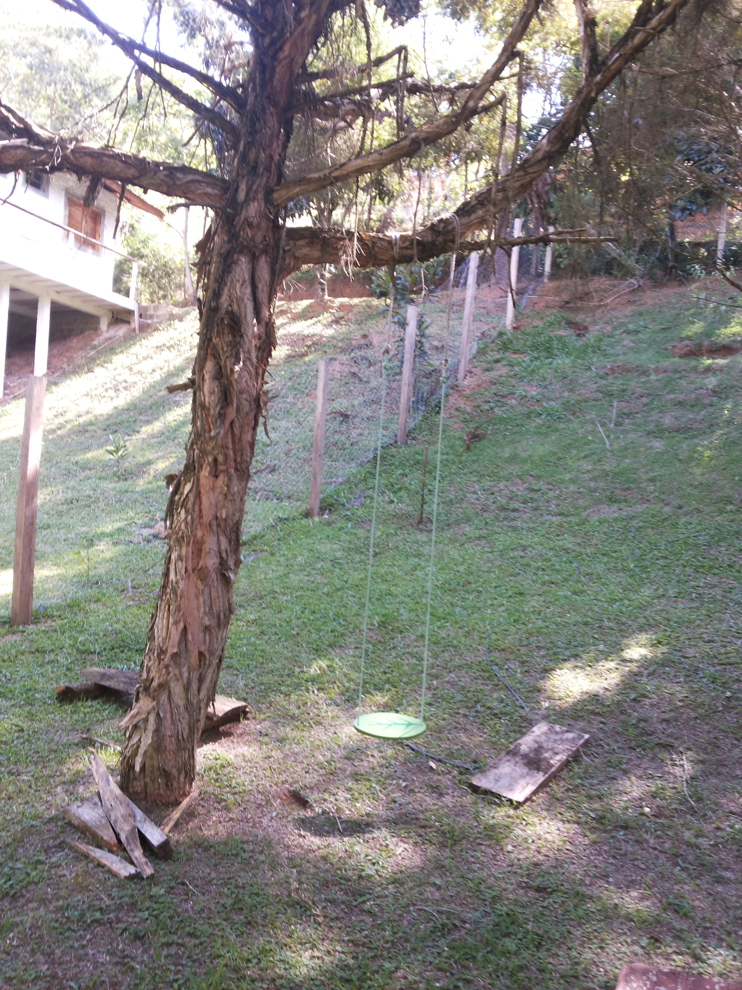 Quintal da casa