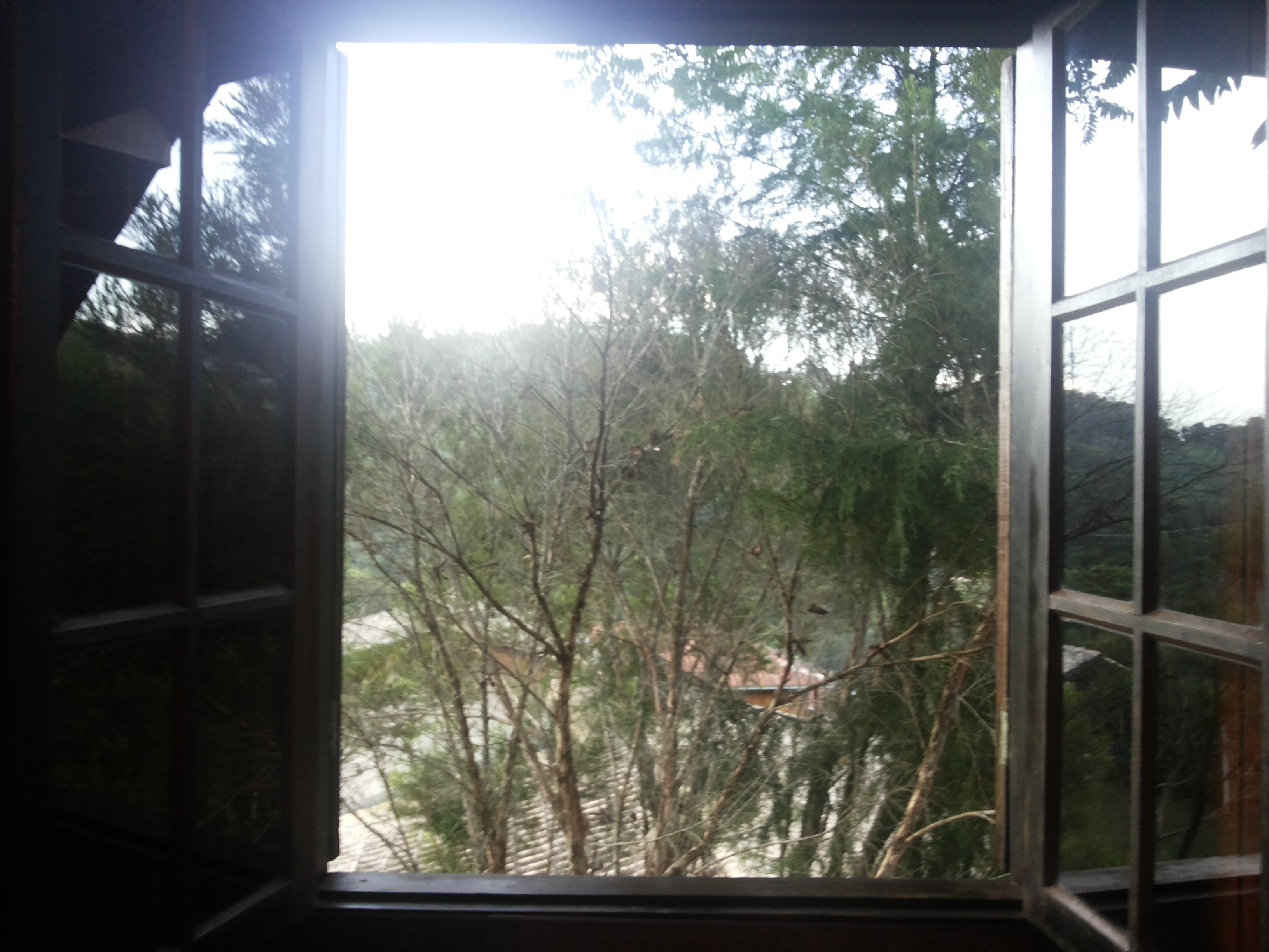 Vista da janela do escritório da Carol