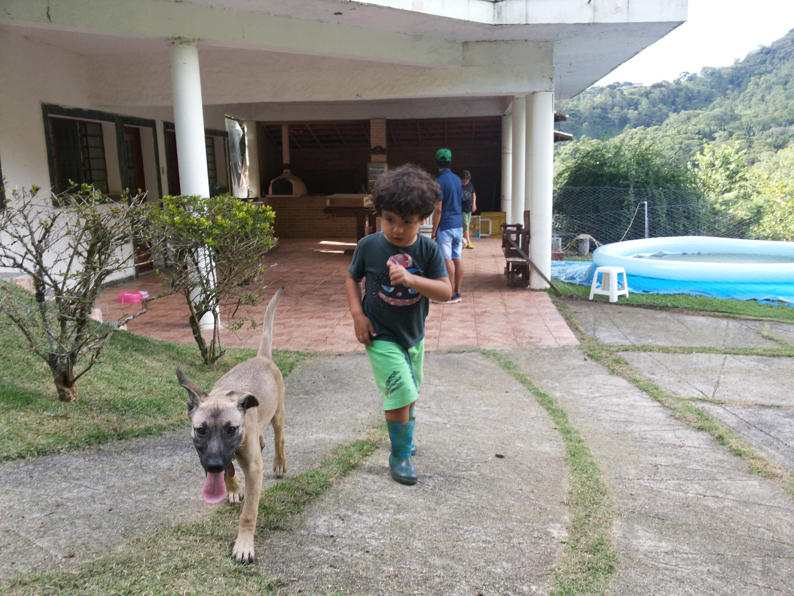 Chicão em ação