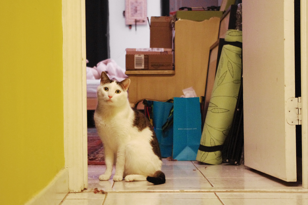 "Eu estou pensando em abrir um estúdio de yoga" - Bastian, Park Slope
