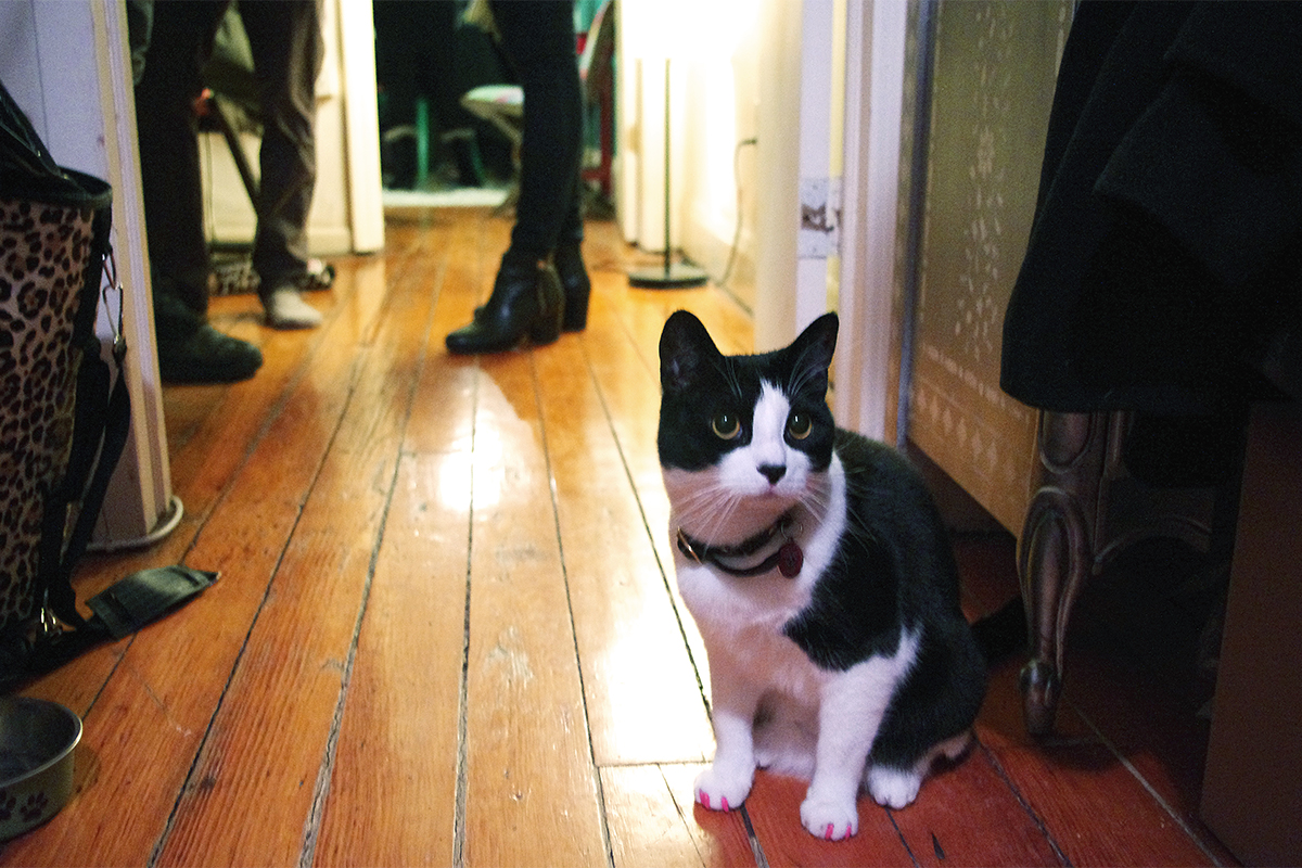 "Eu odeio pra caralho festas." - Mimi, Williamsburg