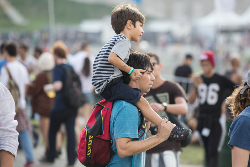 Público no Lollapalooza 2015