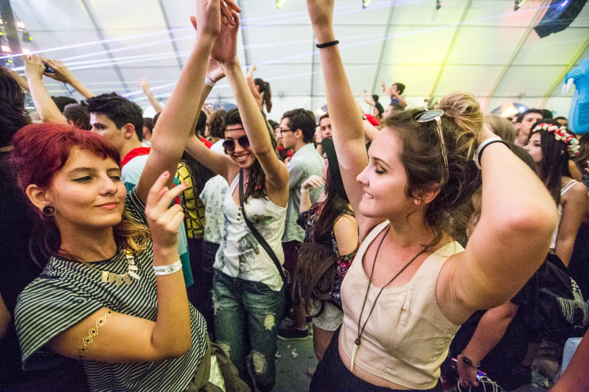 Público no Lollapalooza 2015