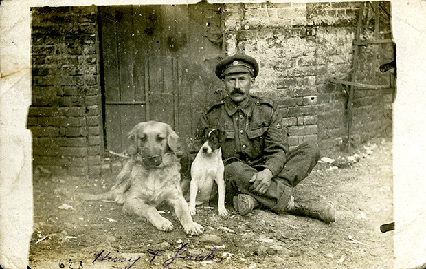 Sargento  com os cães de estimação da Corporação, Hissy e Jack. França, agosto 1916.
