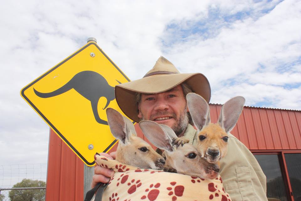 Após largar seu emprego como guia turístico, Chris "Brolga" Barnes passou a dedicar sua vida aos cangurus que precisavam de sua ajuda no interior da Austrália.Hoje ele tem um programa na BBC e um santuário com 90 hectares dedicados aos mais de 25 animais que se recuperam ou moram definitivamente por lá.