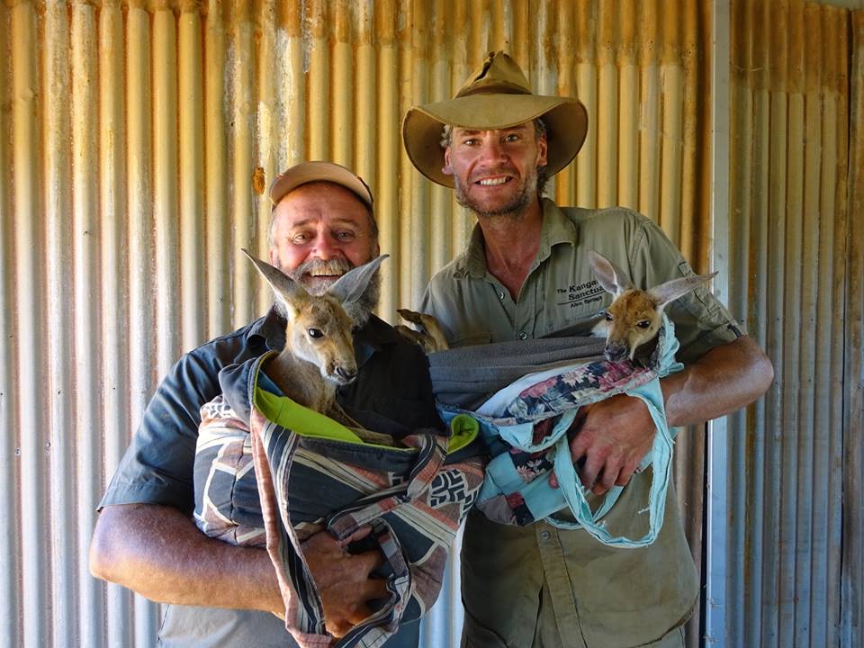 Após largar seu emprego como guia turístico, Chris "Brolga" Barnes passou a dedicar sua vida aos cangurus que precisavam de sua ajuda no interior da Austrália.Hoje ele tem um programa na BBC e um santuário com 90 hectares dedicados aos mais de 25 animais que se recuperam ou moram definitivamente por lá.