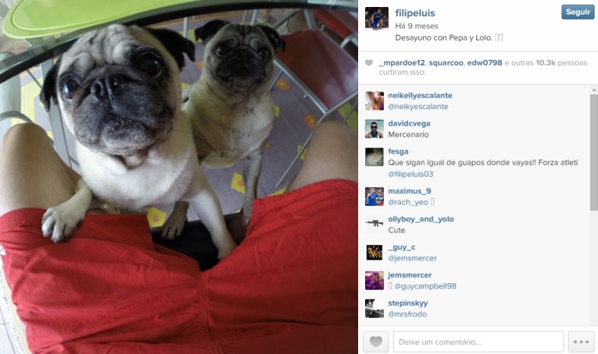 Lateral brasileiro do Chelsea, Filipe Luis adota sua dupla de pugs
