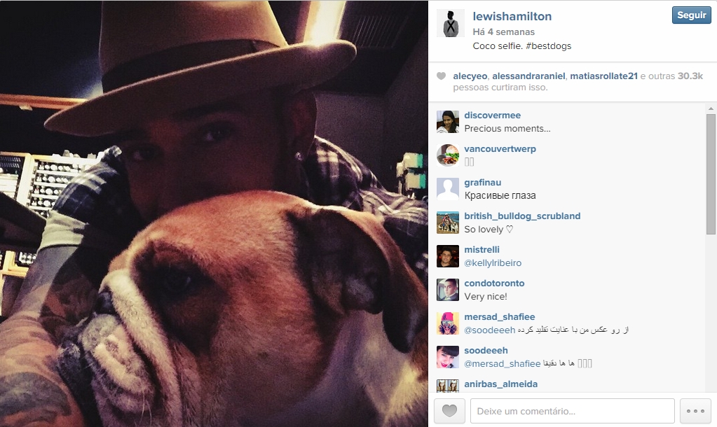 Parceiro inseparável de Hamilton, bulldog Roscoe é o melhor amigo do piloto