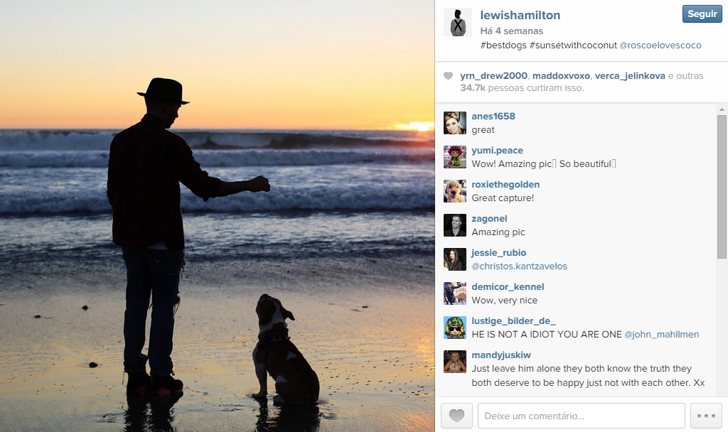 Parceiro inseparável de Hamilton, bulldog Roscoe é o melhor amigo do piloto