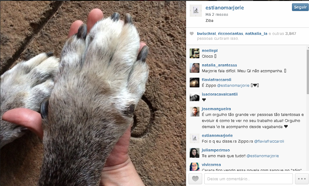 Postou foto de pata amiga... Owwwnnnn