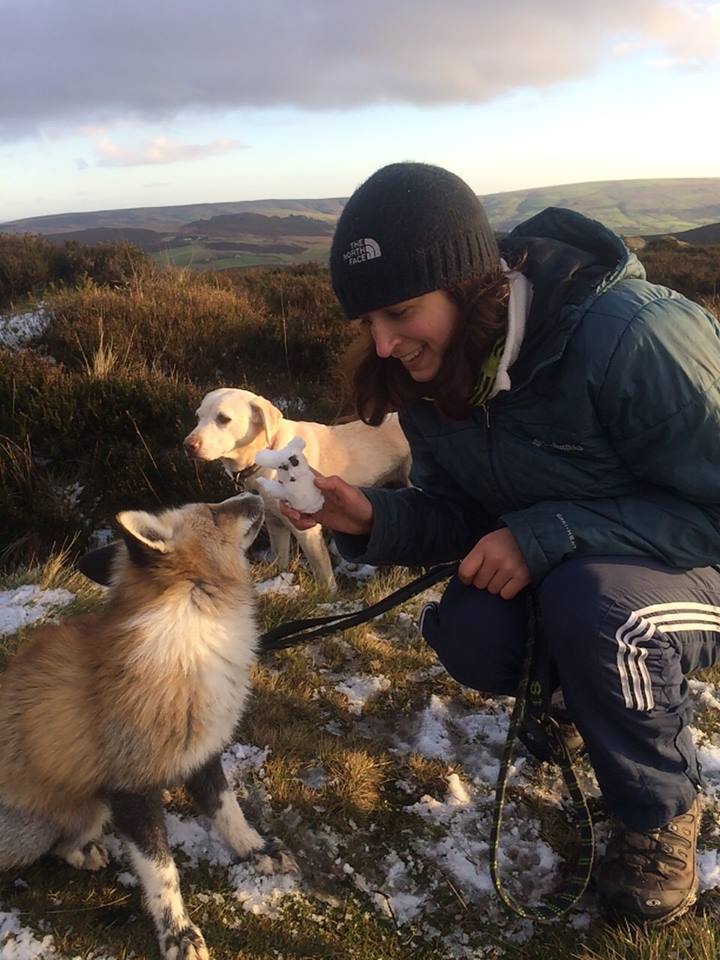 Desde os 4 meses de idade Todd é domesticado e desde então passou a agira como cachorro.