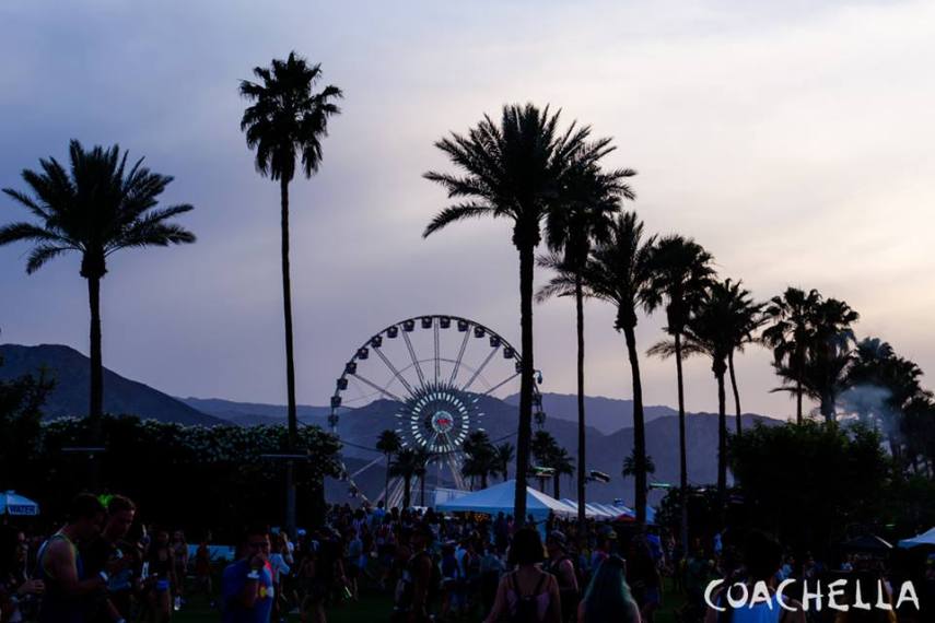 Esse deserto! Essas árvores! Esse festival!
