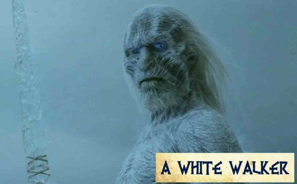 Jogadores são sósias de personagens de Game of Thrones