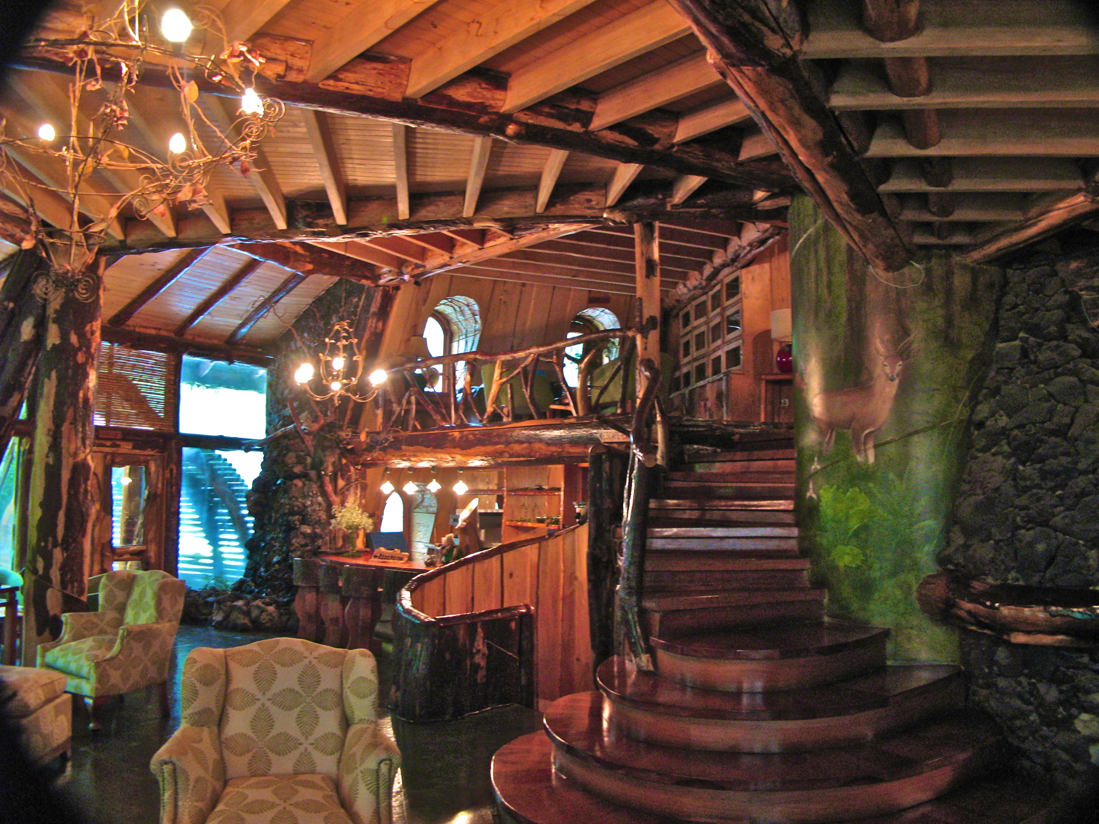Montaña Mágica Lodge | Huilo Huilo
