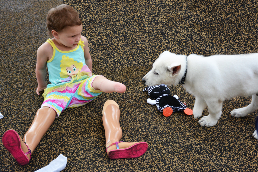 A garota Sapphyre, que não tem as pernas, tornou-se melhor amiga do cão Dan, que nasceu sem uma das patinhas