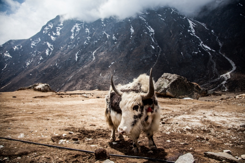 A fotógrafa Berta Tilmantaitė vai reverter todo o dinheiro da venda das imagens em ajuda às vitimas dos terremotos no Nepal
