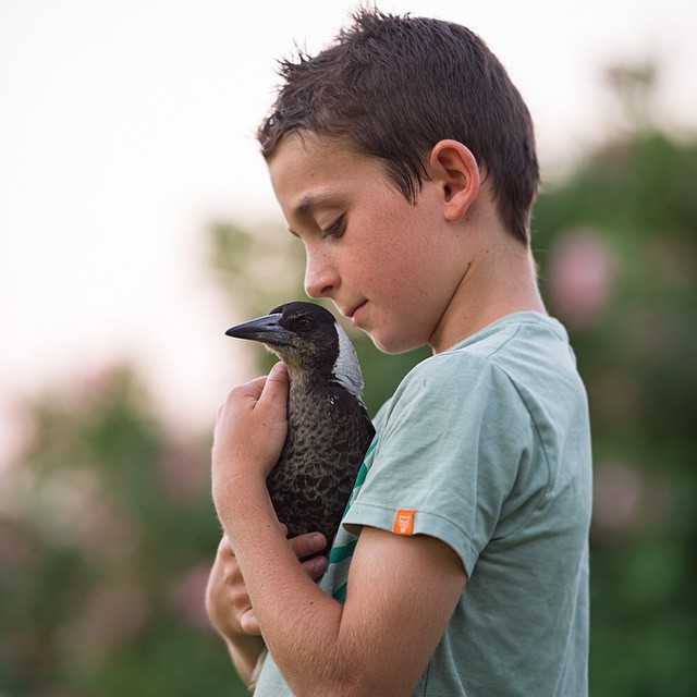 O fotógrafo Cameron Bloom mostra a intimidade do filho com o pássaro chamado Pinguim