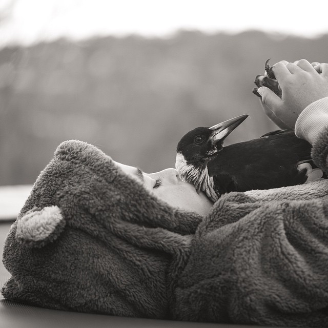 O fotógrafo Cameron Bloom mostra a intimidade do filho com o pássaro chamado Pinguim