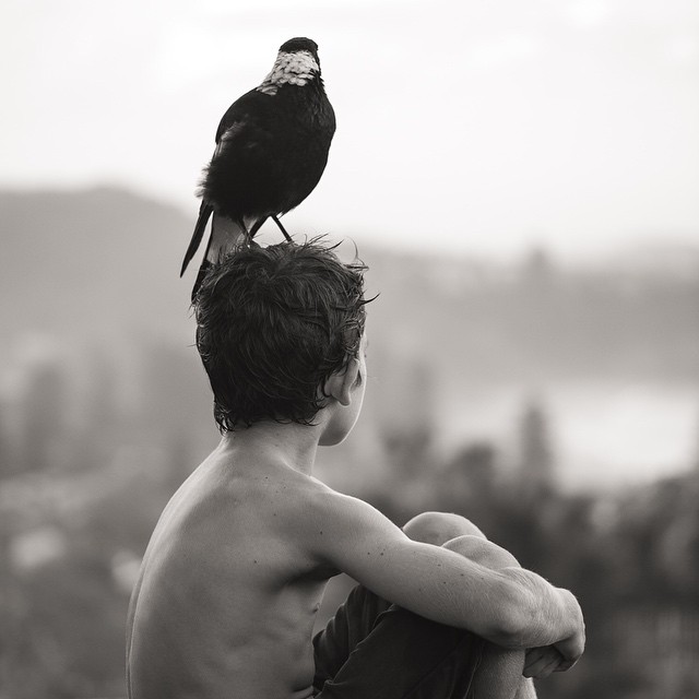 O fotógrafo Cameron Bloom mostra a intimidade do filho com o pássaro chamado Pinguim