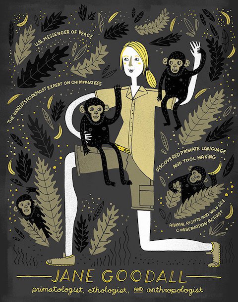 Jane Godall, primatóloga e antropóloga