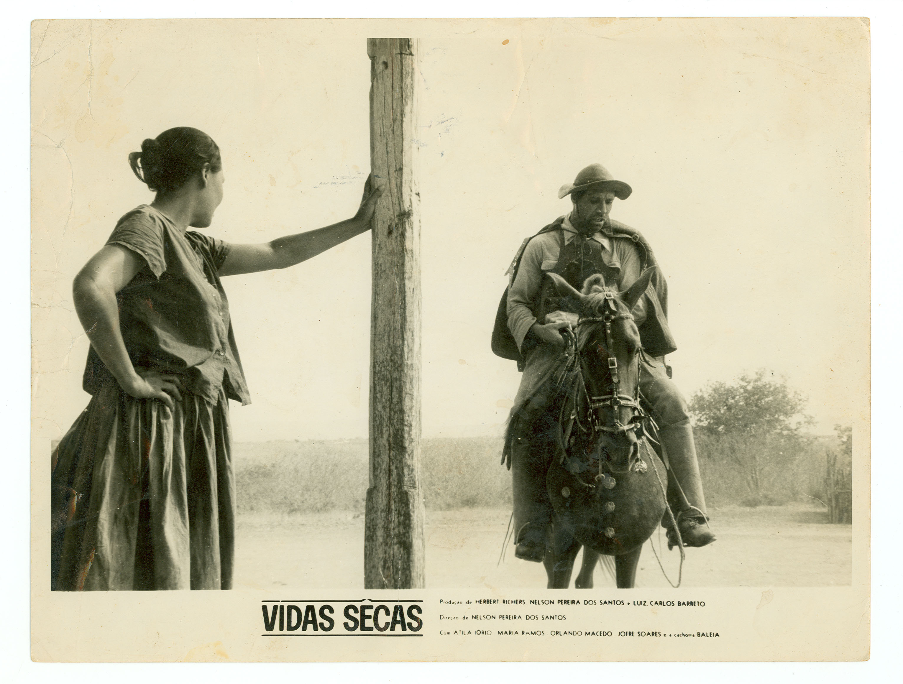 Baseado na obra de Graciliano Ramos, o filme foi rodado no interior de Alagoas, cenário original do livro. Com uma fotografia inovadora - estourada e sem filtros, revelando a luz da caatinga -, o longa acompanha a saga de uma família que luta para sobreviver à seca, traçando assim um panorama da situação do campo no Nordeste brasileiro. Representou o Brasil no Festival de Cannes em 1964.
