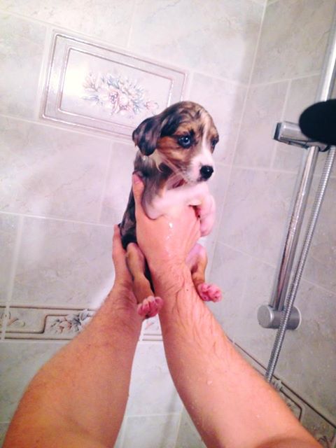 'A pequena Lilybug tomou seu primeiro banho hoje à noite'