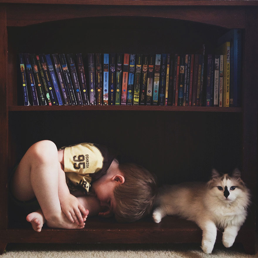 Três crianças + duas gatinhas = amor <3Três crianças + duas gatinhas = amor <3