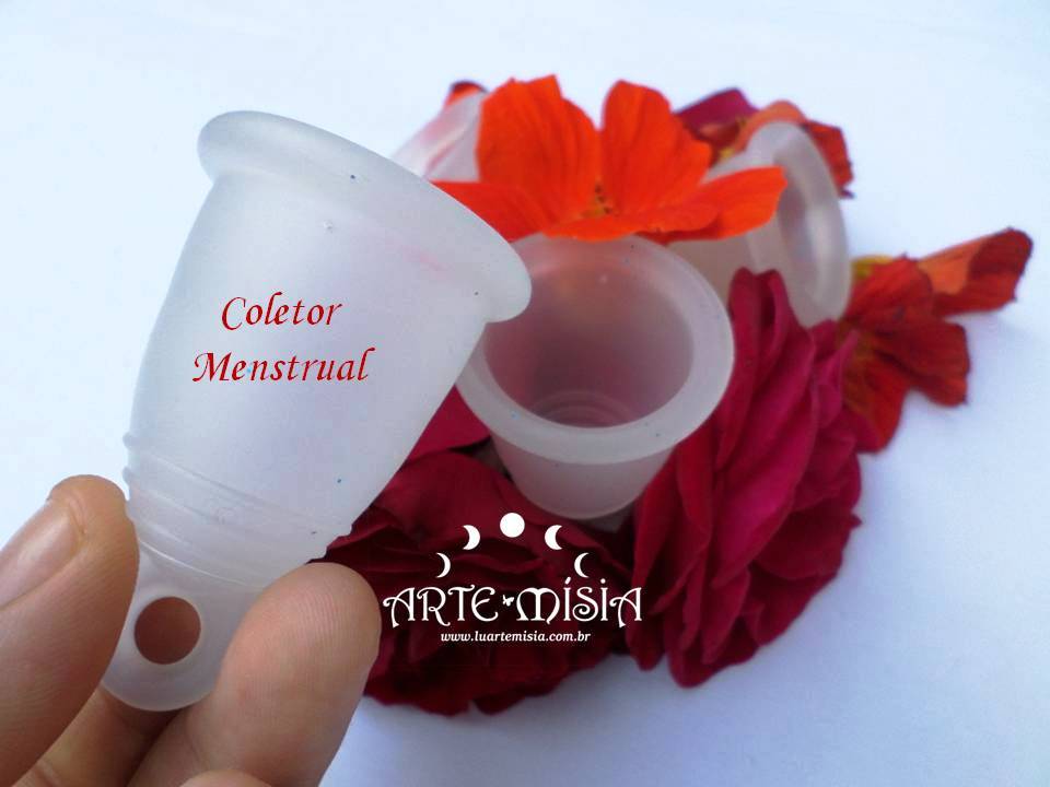 <a href="http://www.luartemisia.com.br/products/copos-ou-coletor-menstrual-tamamho-p/" target="_blank">Arte Mísia</a>, R$ 69