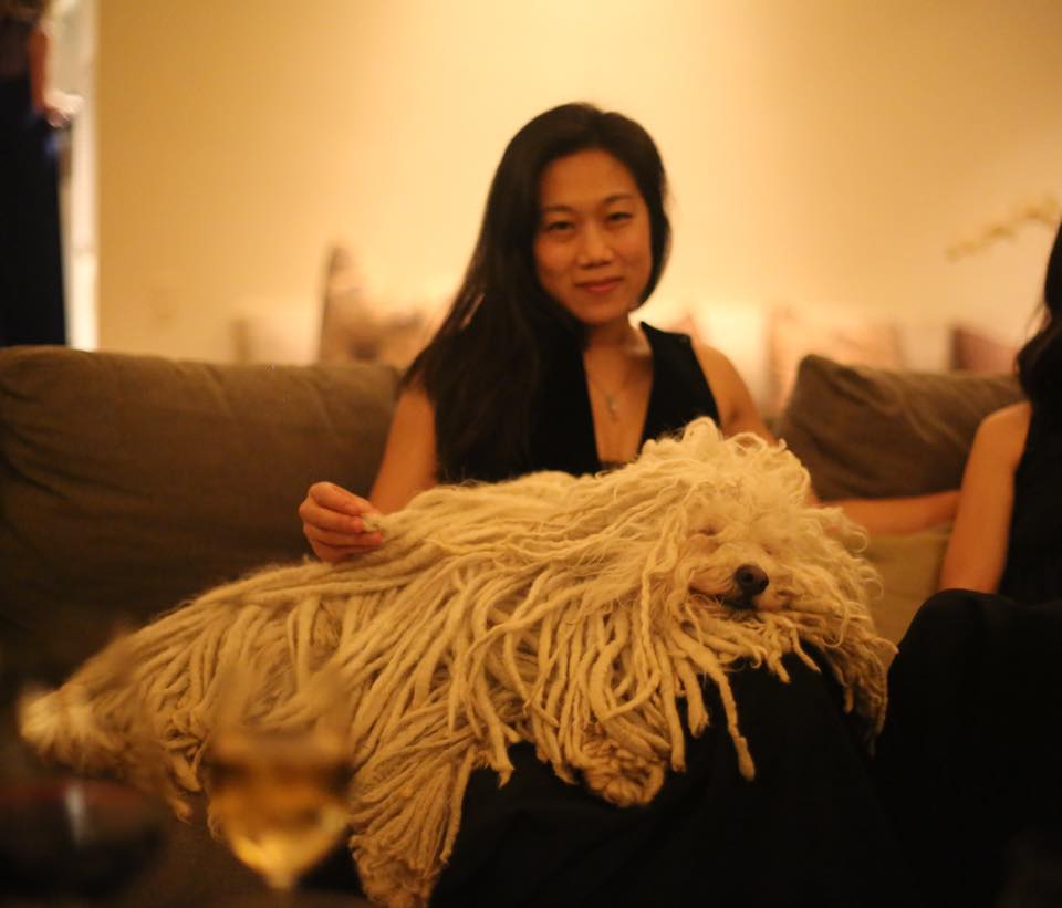 Essa fofura de "dreadlocks" é cachorro de ninguém menos que Mark Zuckerberg, o dono do Facebook. 
São mais de 2 milhões de seguidores em seu perfil.