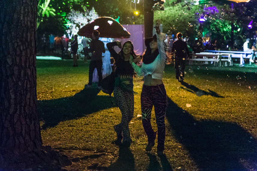 Tomorrowland Brasil 2015.