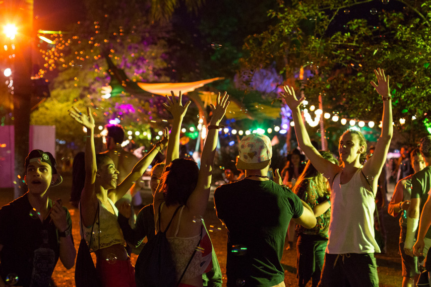 Tomorrowland Brasil 2015
