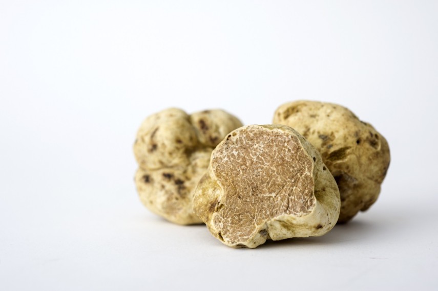<strong>Quanto: </strong>Até R$ 1 milhão por 1,5 kgO preço recorde pago pela<strong> trufa branca</strong>, o tempero mais caro do mundo, foi de R$ 1 milhão por uma peça de 1,5 kg. O ingrediente é raro: seu surgimento depende de uma série de condições, tais como umidade, condições do solo e temperatura. São encontradas no norte da Itália e não podem ser cultivadas