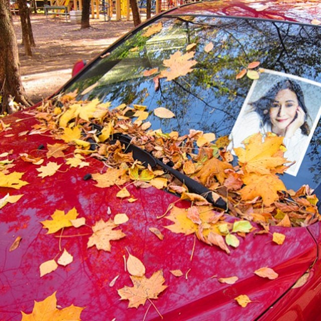 Aquele dia desesperador que você achou que tinha sido multado e... Não! Era uma foto da Sonia de presente no seu carro!