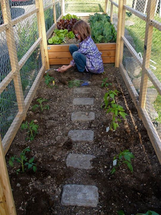 A garota de 9 anos constróia abrigos de madeira e planta alimentos para moradores de rua