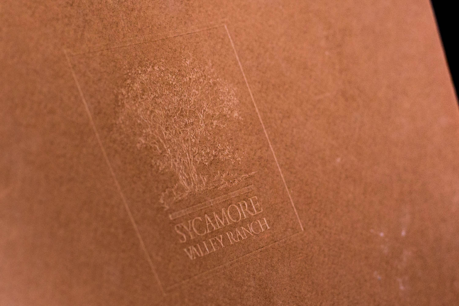 Capa do livro de Sycamore Valley, nome anterior do terreno de Neverland