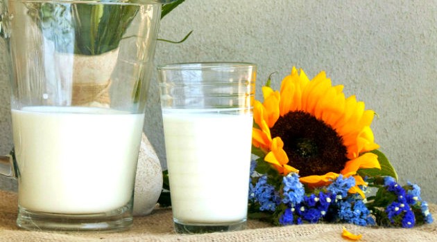 O que é: Um leite feito de sementes de girassol, linho, cânhamo e castanha de caju. Bom para quem tem intolerância a lactose ou está querendo cortar a proteína da alimentação.

O pretenso milagre: Antioxidante, ajuda a acalmar os nervos, combate o envelhecimento precoce, desintoxicante natural. Como contém triptofano, que aumenta a produção de serotonina, também aumenta a sensação de bem-estar.