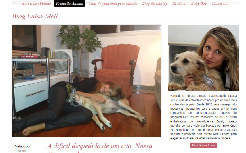 Instituto Luisa Mell 

Site: http://luisamell.com.br/category/protecao-animal

Página no Facebook: https://www.facebook.com/LuisaMellOficial