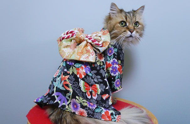 Kimono Solutionwear – Vírgula