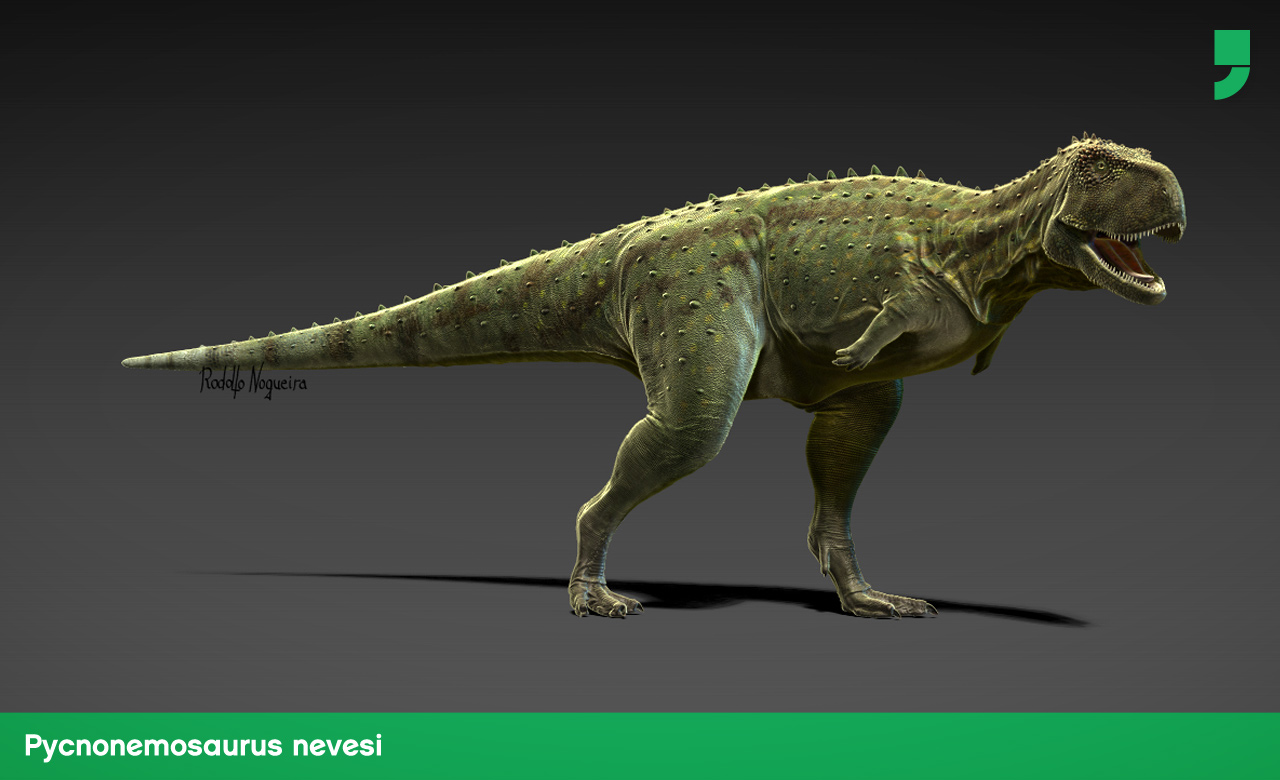 Com 9 metros de comprimento e 3 a 4 metros de altura, esse dino foi encontrado no Matro Grosso, era carnívoro e, acredita-se, caçava em bandos.