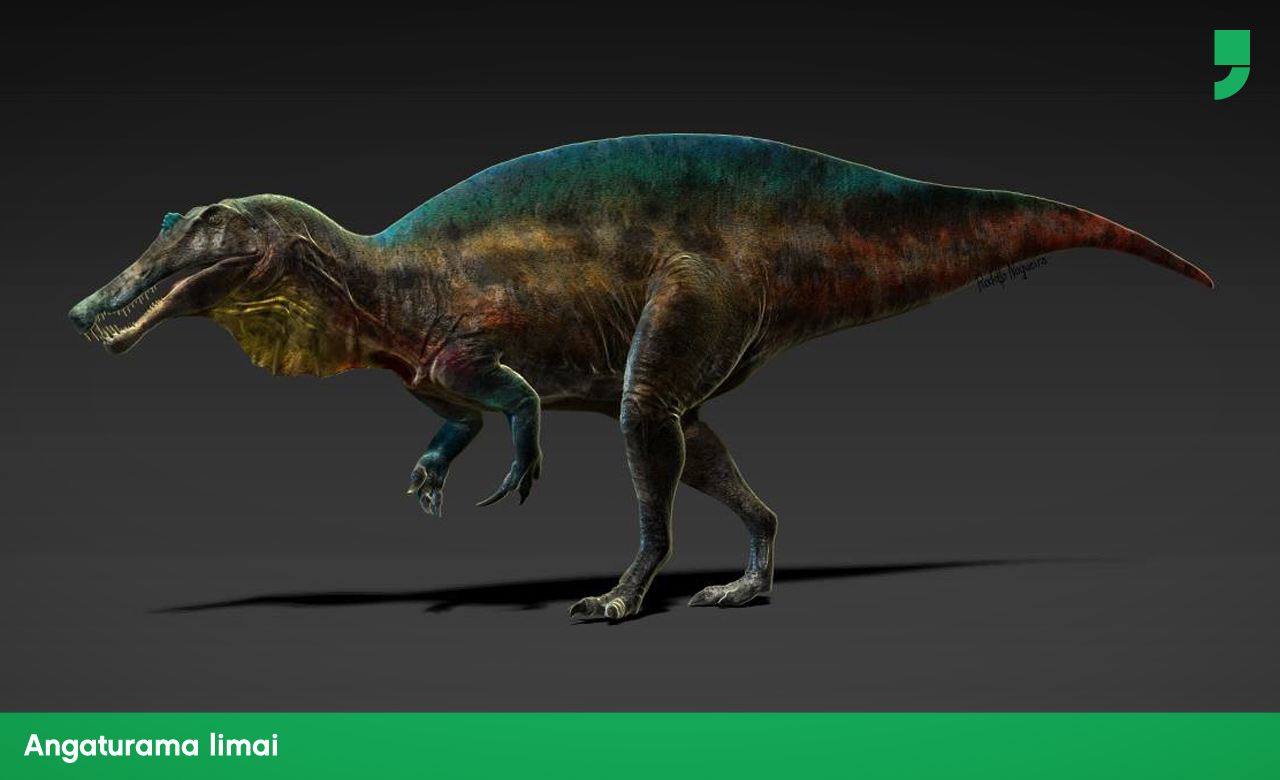 É o primeiro dino com prolongações espinhais nas vértebras das costas descoberto no brasil. Carnívoro, ficava entre os 5 e 6 metros de comprimento e 2 de altura. O nome Angaturama vem do tupi e significa "espírito nobre".