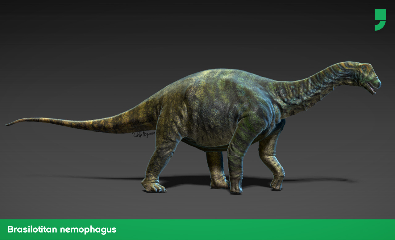Os restos fósseis desse dino foram encontrados perto de Presidente Prudente, em SP. Ele é herbívoro, tinha entre 9 e 10 metros de comprimento e cerca de 2 a 3 metros de altura. É o mais recente dino brasileiro descoberto.